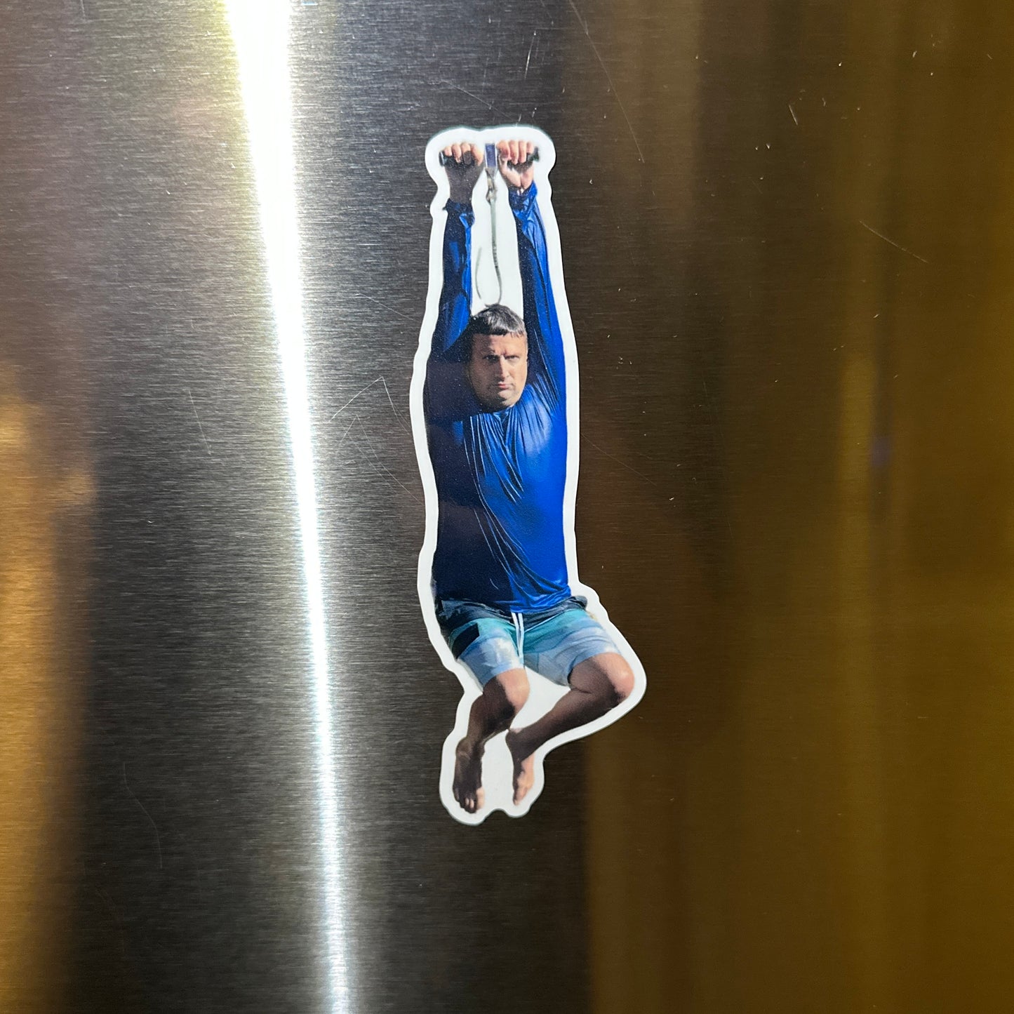 Zipline Ronnie Fridge Magnet