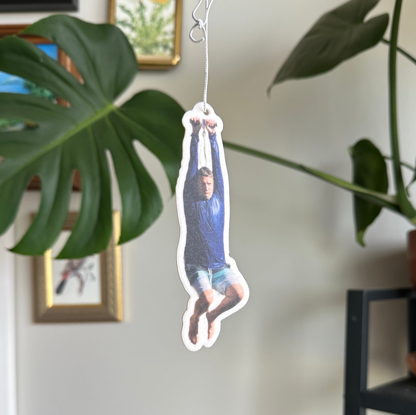 Zipline Ronnie Air Freshener